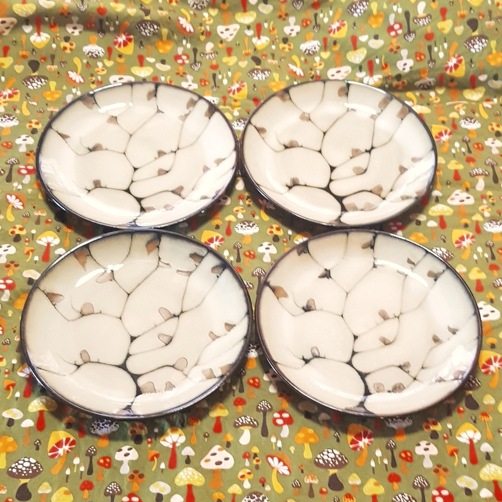 Set of 4 Mikasa Gourmet Basics Andria salad plates